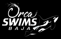 Orca Swims Baja